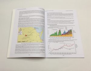 Annual Report printing